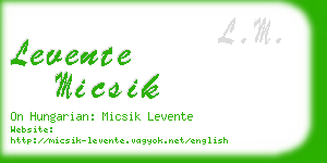 levente micsik business card